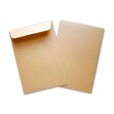 Catalog Envelope Kraft