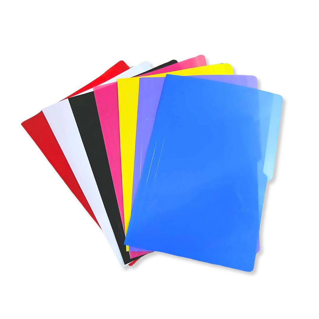 Pre-Punched Plastic Folder Thick