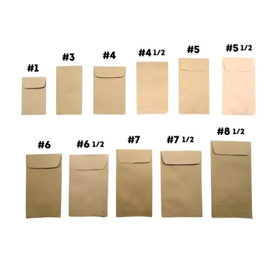 Coin Envelope Kraft