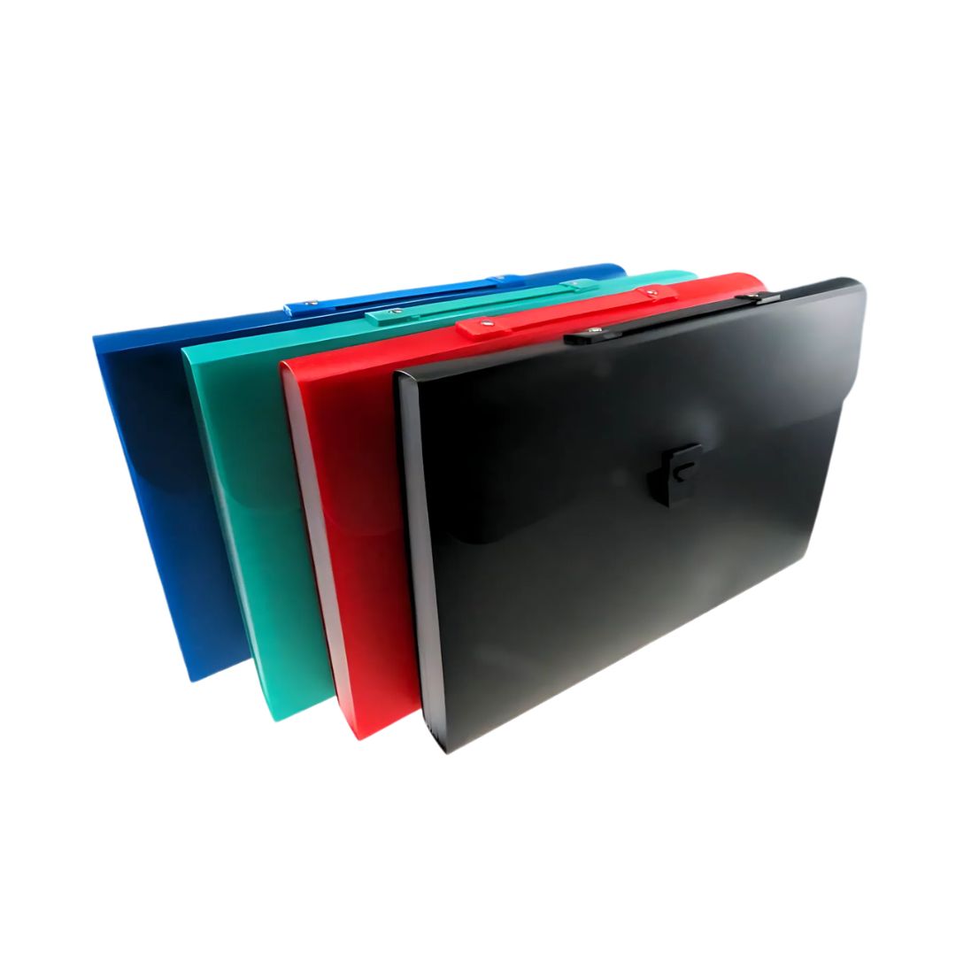 Accordion Expanding Envelope with Handle and Push Lock