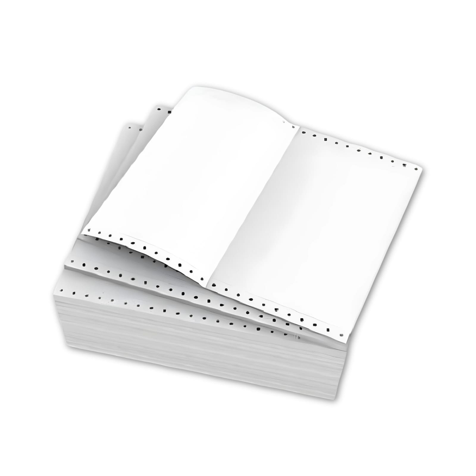 Computer Forms 13" x 9.5" Long Carbonless
