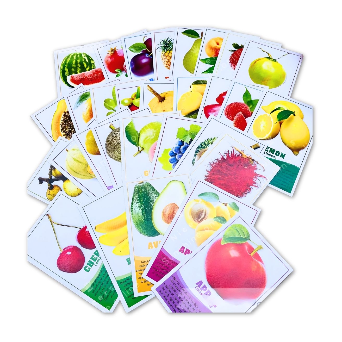 Vanda Flash Cards